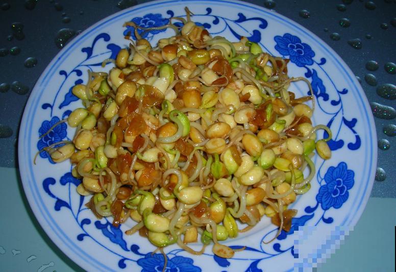 塑料盆发豆芽，5天长一盆，健康又美味！