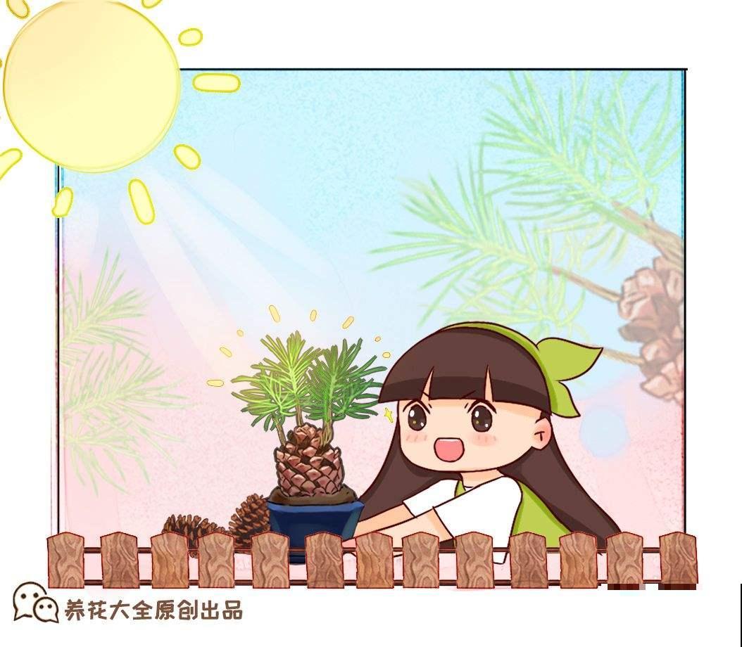 养花也得找对地儿，这5处，别养花，否则养不活还浪费钱
