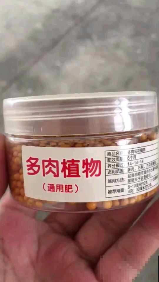立春后，花儿都快醒了，该给花喂点肥了