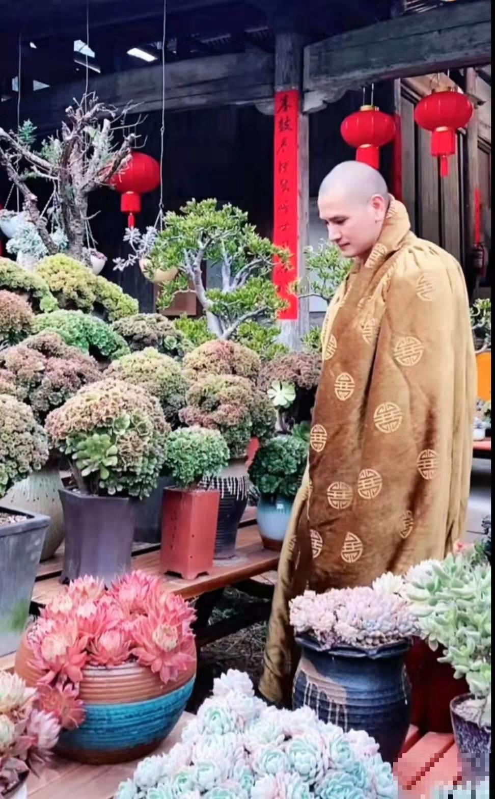 出家人多肉，遇到虫害怎么办？