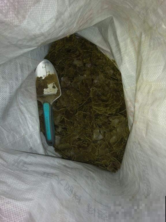 “5种”动物粪便，拿来给花做底肥，花吃了蹭蹭长