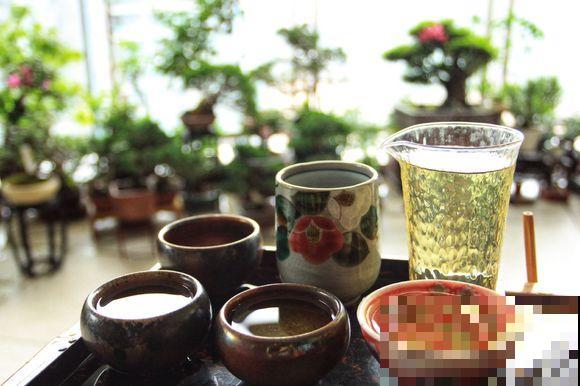 他家超大阳台，种了几十盆高价盆景，壕无人性！