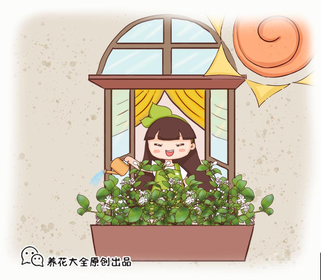 种花最养人，花期长、花量大，还能泡茶喝
