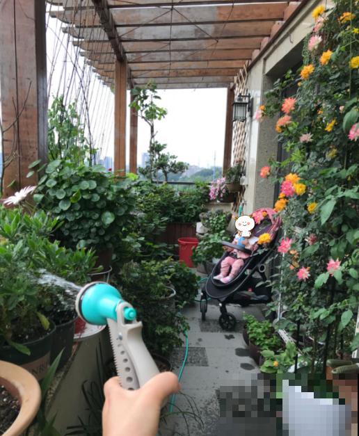她用一年多的时间，把阳台变成小花园，一年四季有花看！