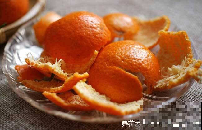 橘皮、柚子皮别扔，泡水里成大补肥，养花太有用了！