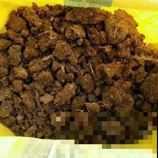 别捏鼻子了，这几种动物粪便都是宝，塞土里就成养花妙药！