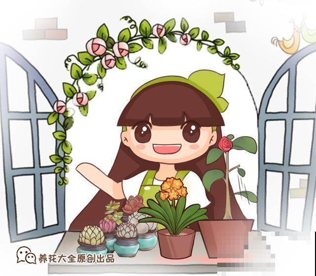 养花人跟不养花的人有什么区别？看这几点就知道！