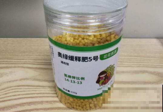 3月该给花施肥了，每月浇点这东西，开花真给力！