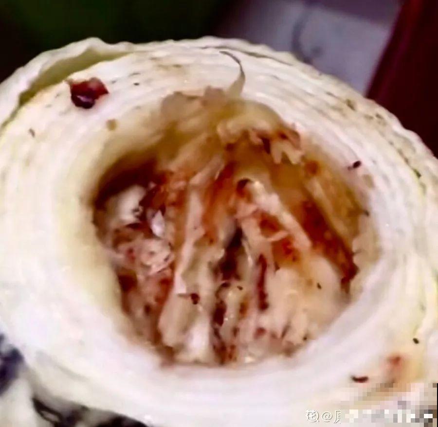 姐姐种的花一直没动静，根上长个黑窟窿，难怪不开花！