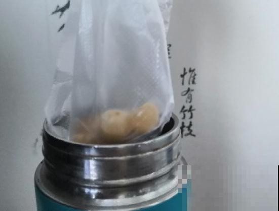 君子兰开完花，结出一串红果果，摘下来埋土里就发芽！