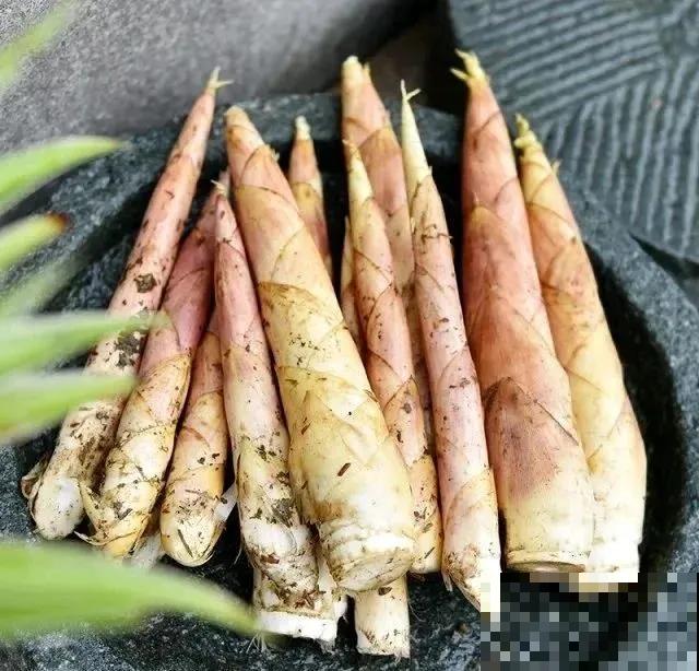 春天野菜赛黄金，教你2种做法，好吃又养生！