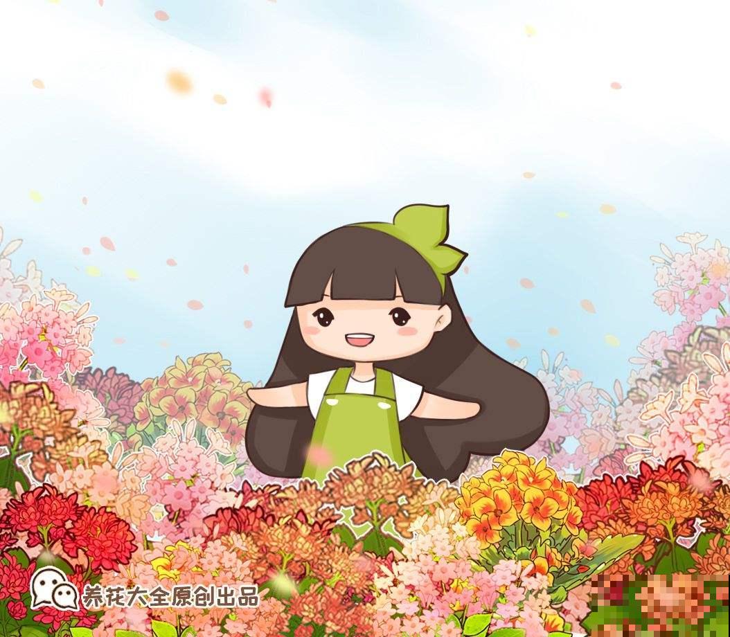 长寿找准位置剪一刀，花苞呼呼冒，摁都摁不住