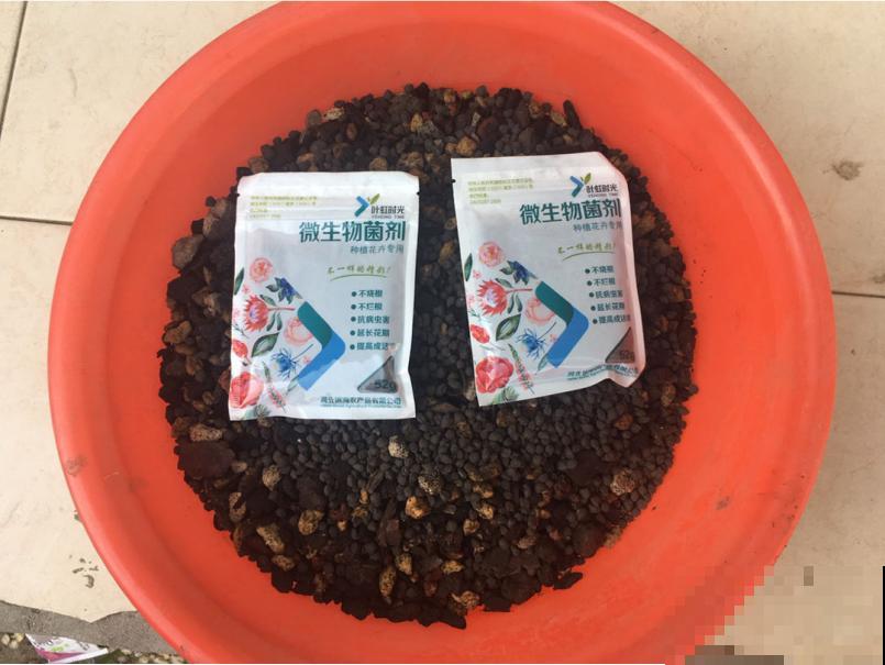 盆里出现这东西，赶紧换新土，不然花儿养不久！