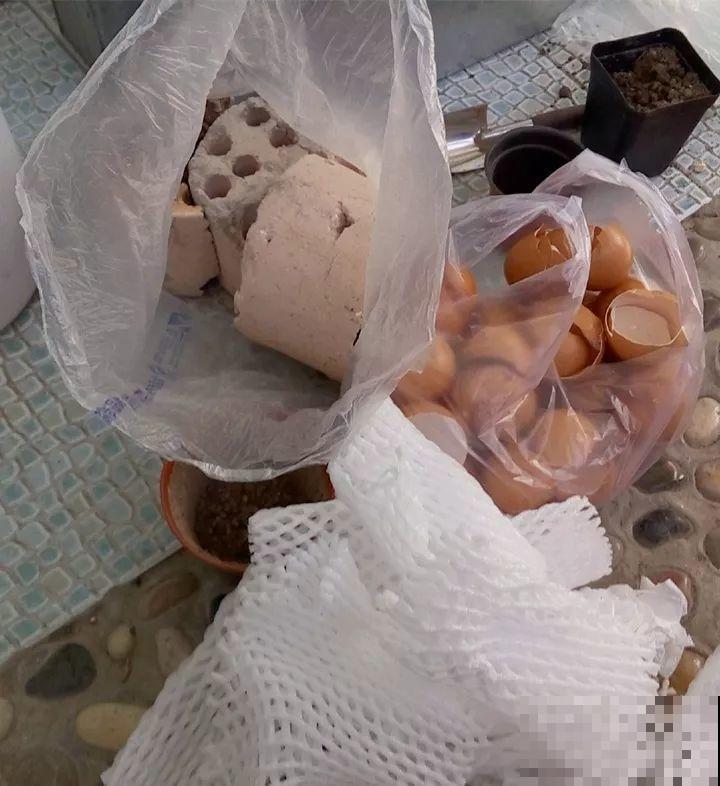 路边看见这玩意，赶紧捡回家养花，比买的植料还好用！