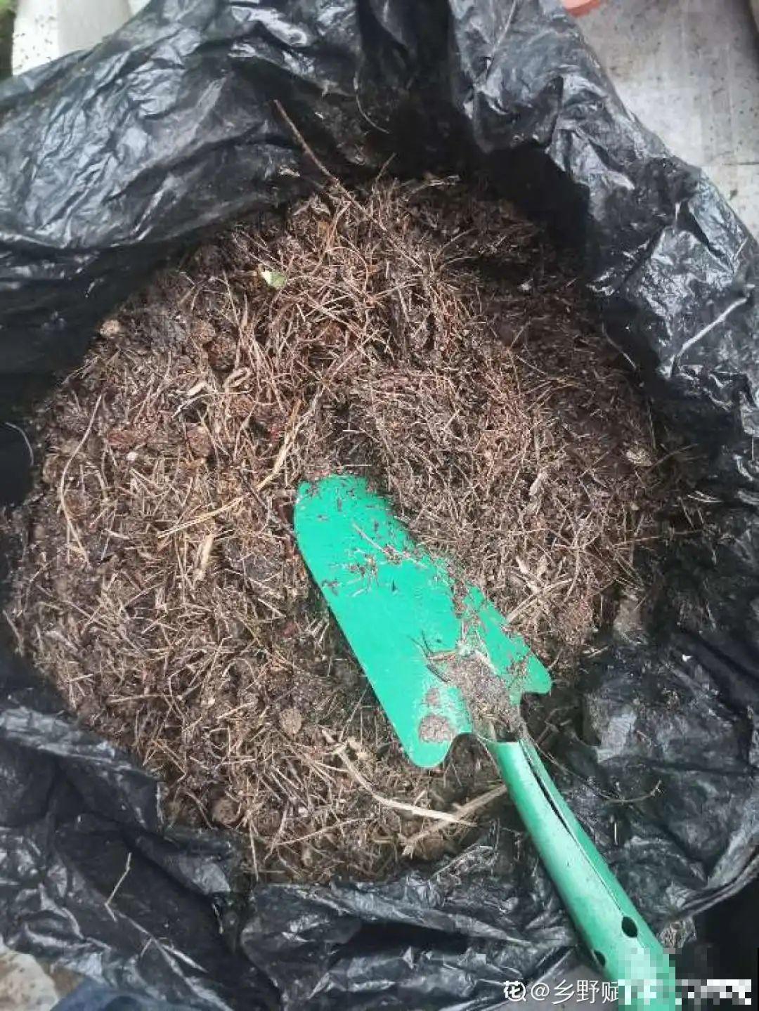 换下来的旧土别着急用，教你一招，跟新土没差！