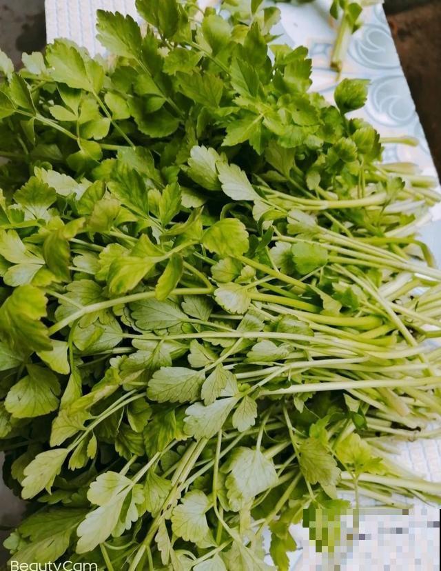 春天野菜赛黄金，教你2种做法，好吃又养生！
