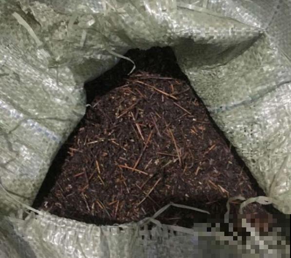 野外这3种土，是养花黄金土，枝繁叶茂根又壮！