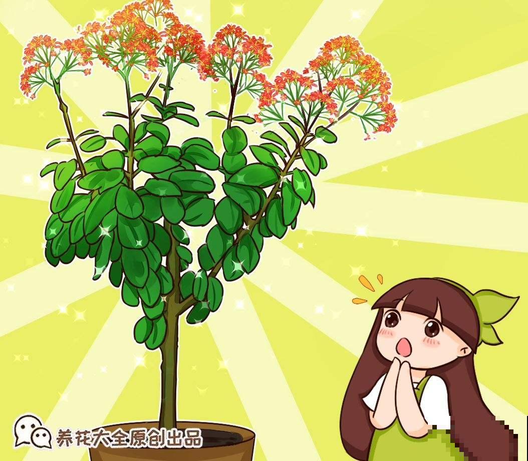养花的奇葩事，每一件都笑到肚子痛，你遇到过吗？