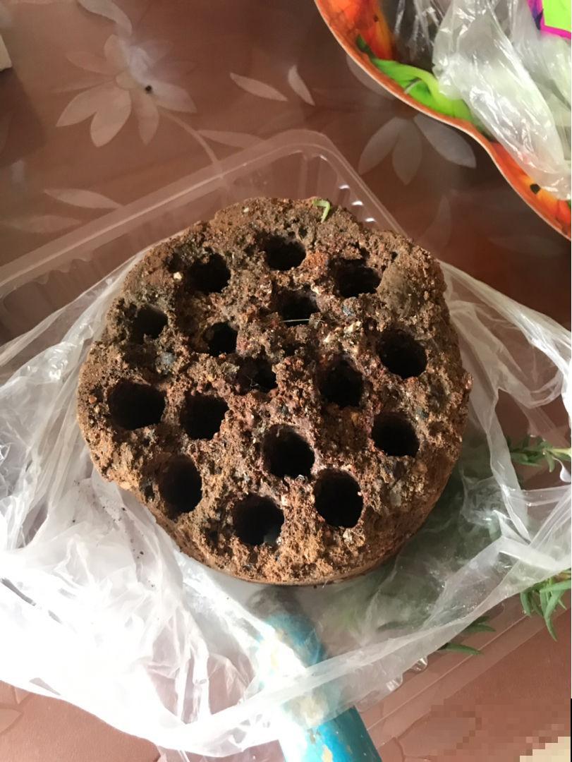 垃圾桶周围逛两圈，捡到3个宝，花和土都有了
