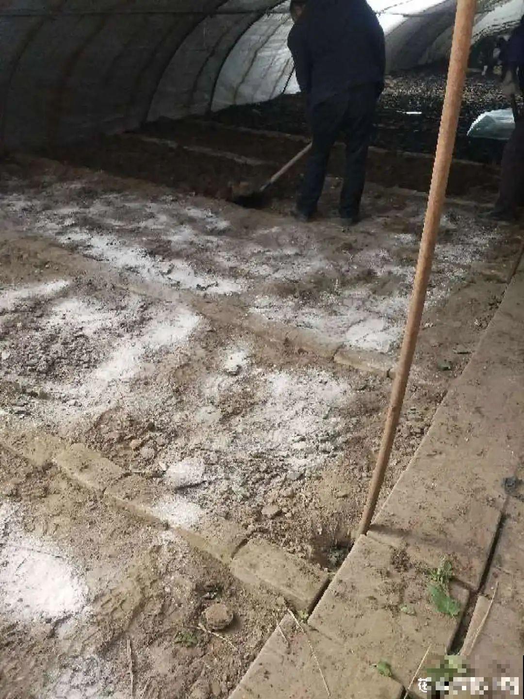 换下来的旧土别着急用，教你一招，跟新土没差！