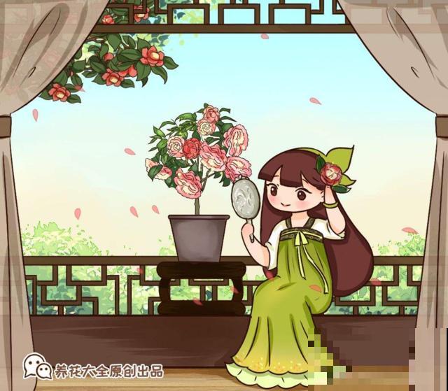 “独木成林”的树，也能养在花盆里，而且越养越值钱