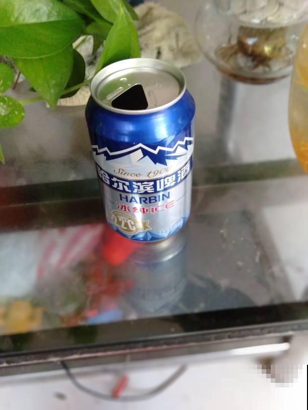 原来家里的花草也是酒鬼，啤酒兑水喝两盅，叶子油绿花艳丽！