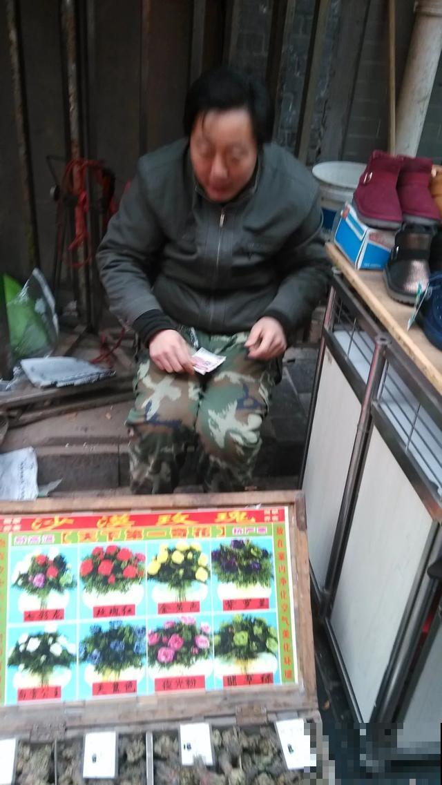 春天买花要注意，6种花千万别买，都是骗人的！