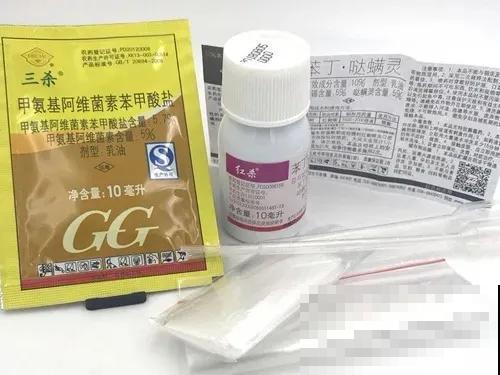 花盆旁边飞虫子，赶紧用药杀，现在用刚刚好