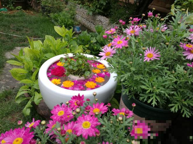 他用3年时间，把农村的小院子，改造成四季开花的花园！