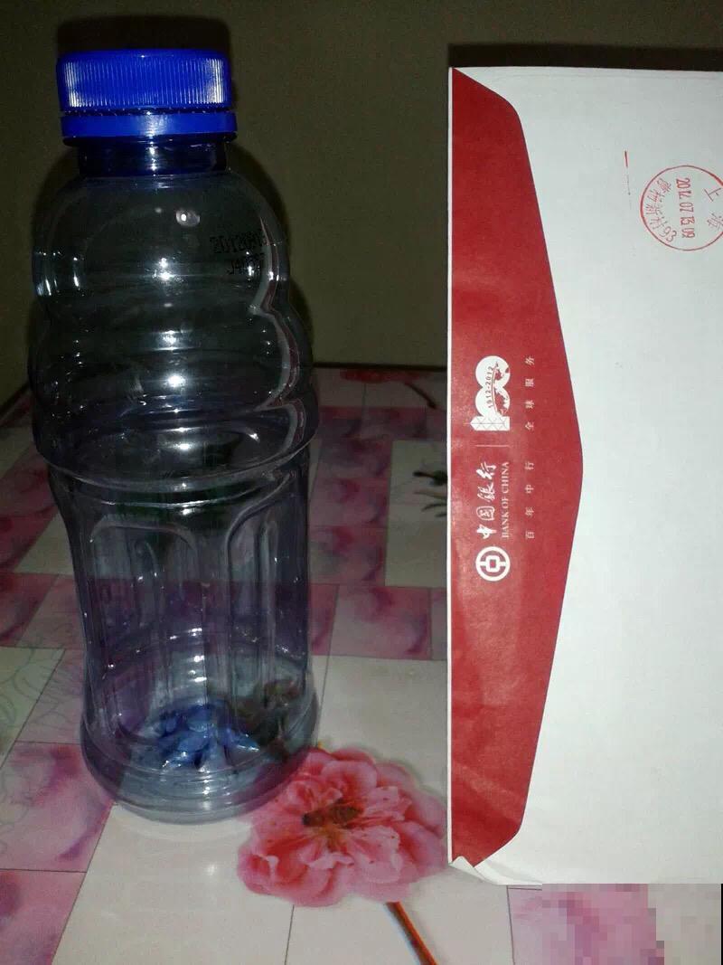 旧筷子、塑料瓶子别丢，稍微用点小心思，都是养花神器