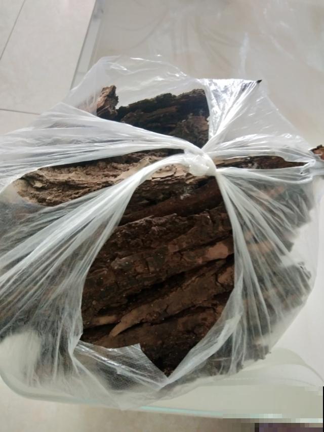 树皮作用多，除了做成植料养花，这些功能你知道吗？