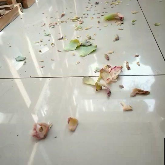 你家花经常掉叶子，有没有想过是浇水出问题？赶紧改了！