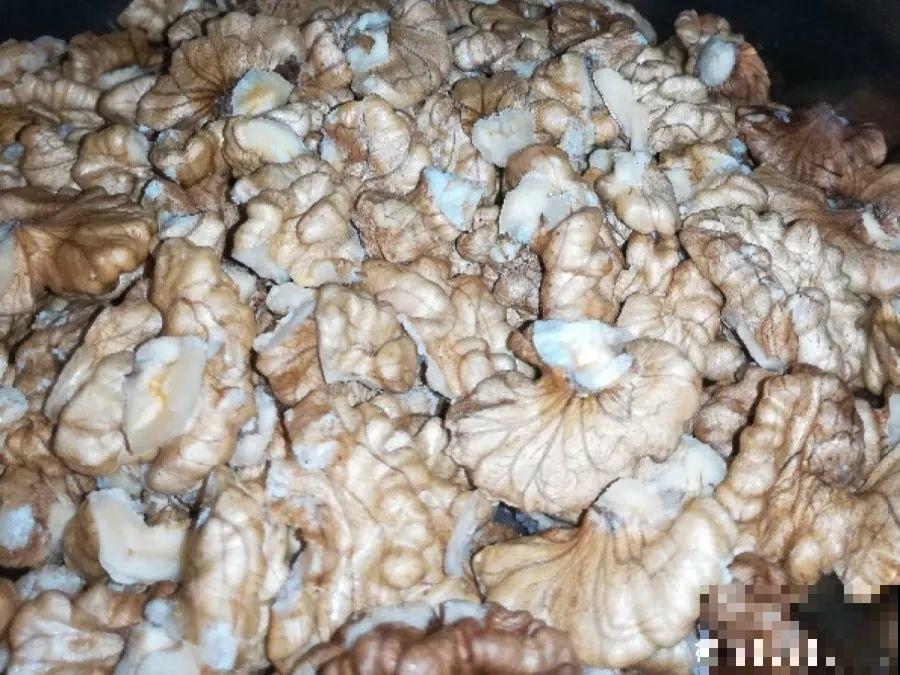 18种果树，最适合家养，风水好果子甜！
