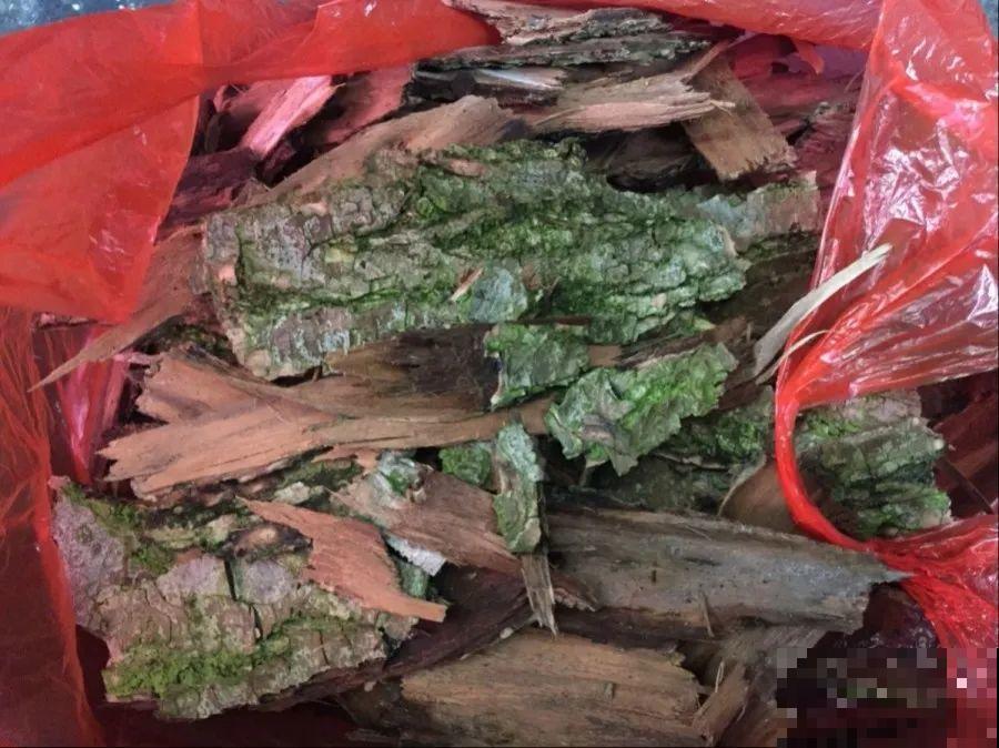 在家自制壮根水，7天浇一次，养出白胖萝卜根！