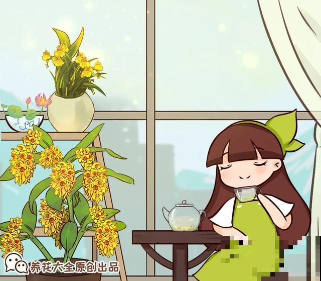 人养花，花也养人，9种花能治病，连医生也爱养！