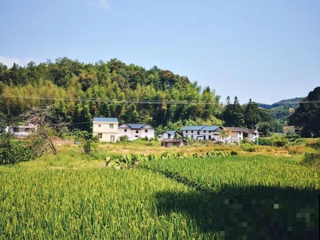 五一城市太拥挤,还是回老家,过快活日子! 五一城市太拥挤,还是回老家,过快活日子!