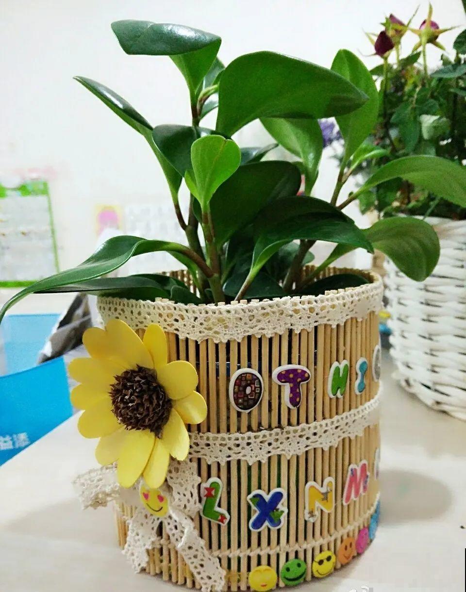 养花从不买花盆，都是这些东西做的！