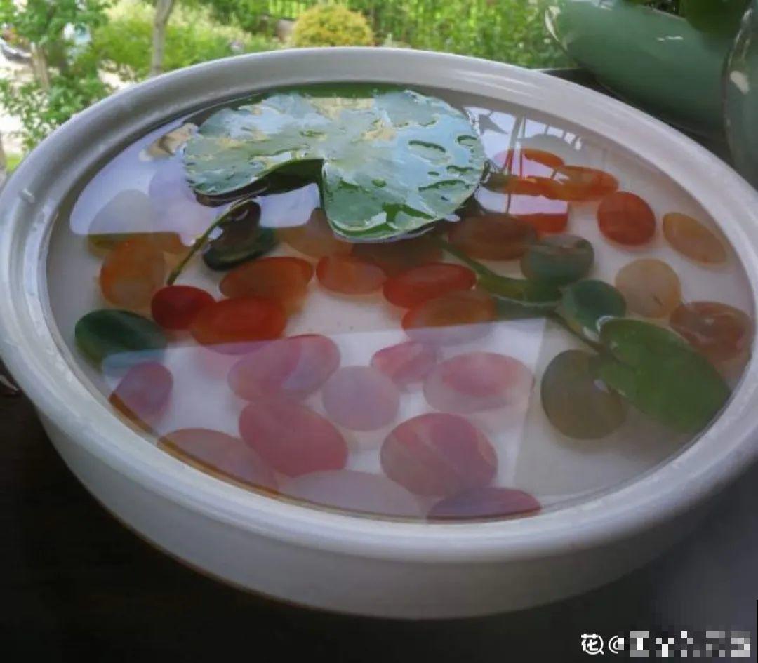 只用水不用土的植物，一片叶子就开花，简直太神奇了！