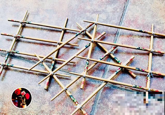 花盆里插根筷子，解决养花大难题，花越长越精神！
