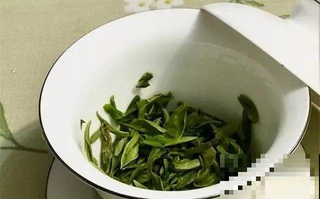20种自制营养土，肥的流油，不用花钱买！