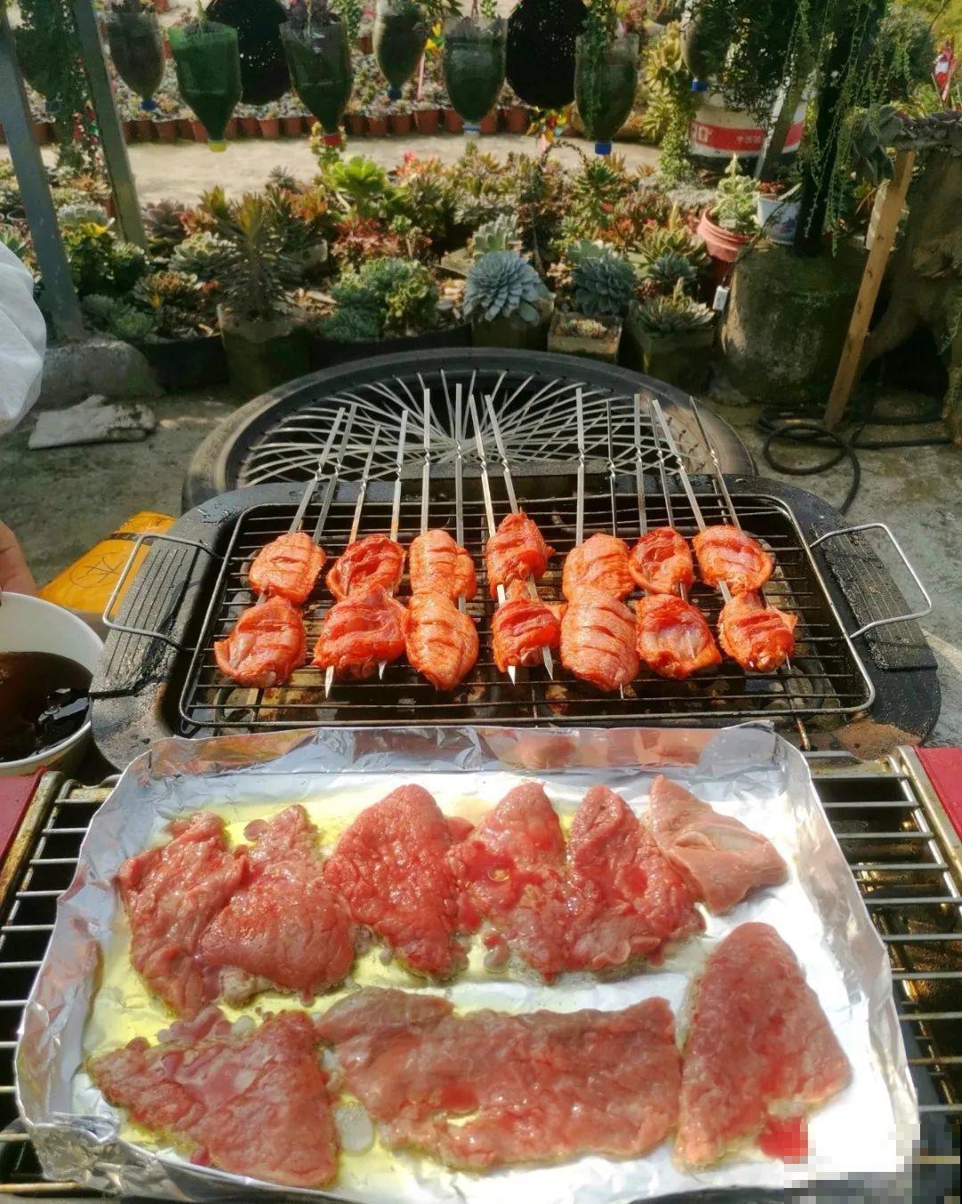 四川大哥养多肉，创意无极限，生活巴适得很！