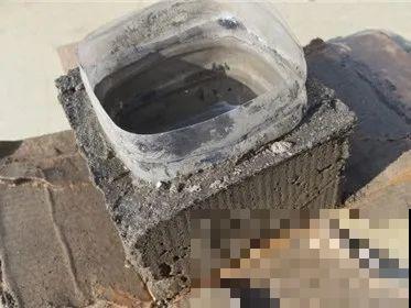 养花从不买花盆，都是这些东西做的！