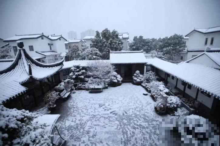 她家院子美得像仙境，海棠梅花开满树，满地都落花瓣雨！
