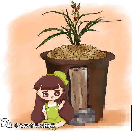 花盆里垫上一样小东西，可以预防烂根，咋浇水都没事！