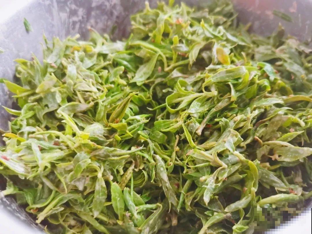 66种野菜辨别图，再不挖点尝尝，下个月就老了！