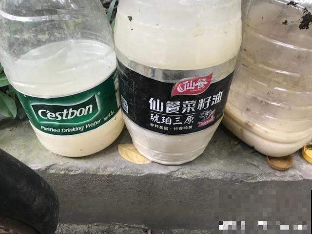 春天给花埋点它，就不用换盆了，保证土肥得流油！