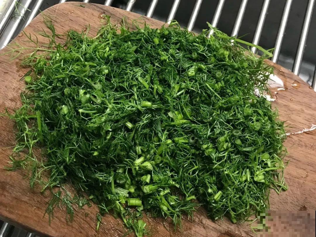 10种菜，阳台就能养，蹭蹭长满一盆，都快吃不了了