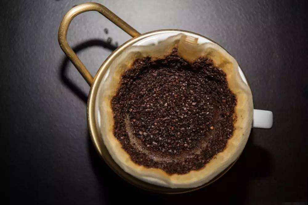 原来喝剩的咖啡渣这么有用，养花时埋一点，开花呼呼的！