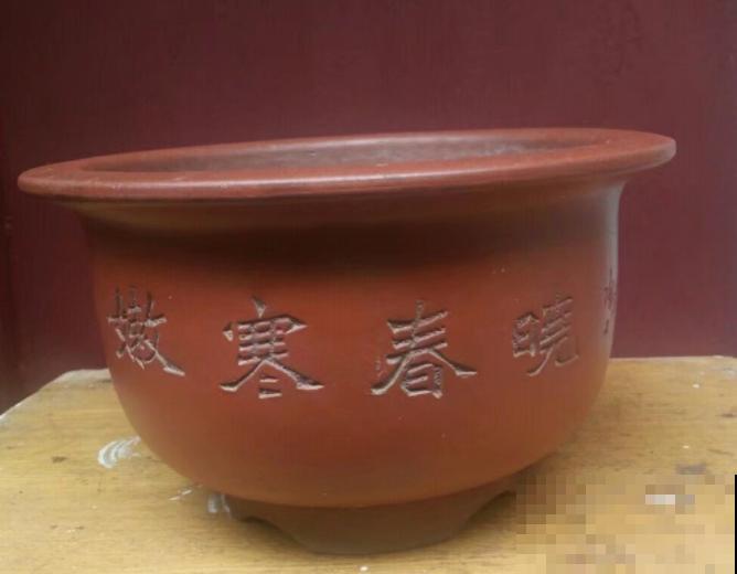 养花常见的6种盆，其中1种养不好花，新手慎用！
