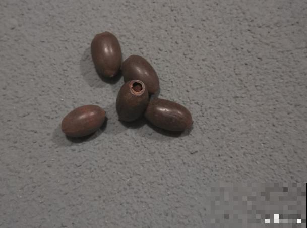 碗莲种植全过程，只要1个碗，开花惊艳无比！
